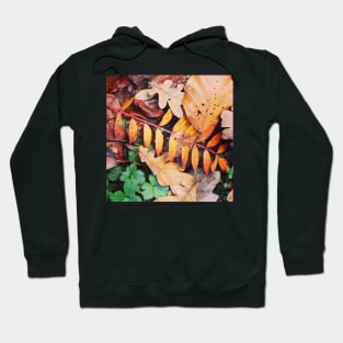 Autumnal leaf collection 1 Hoodie